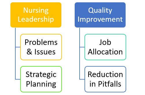 Nursing Capstone Project Ideas for Nursing Leadership